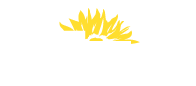 müller+co Logo